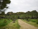 DSC_9532-min